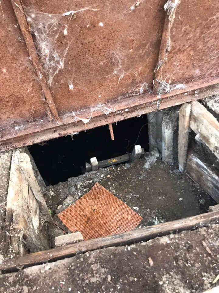 На станции в Негорелом выбросили в туалетную яму шестерых новорожденных щенков