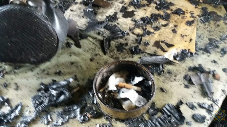 На пожаре в Дятловском районе кошка спасла хозяина, но погибла сама