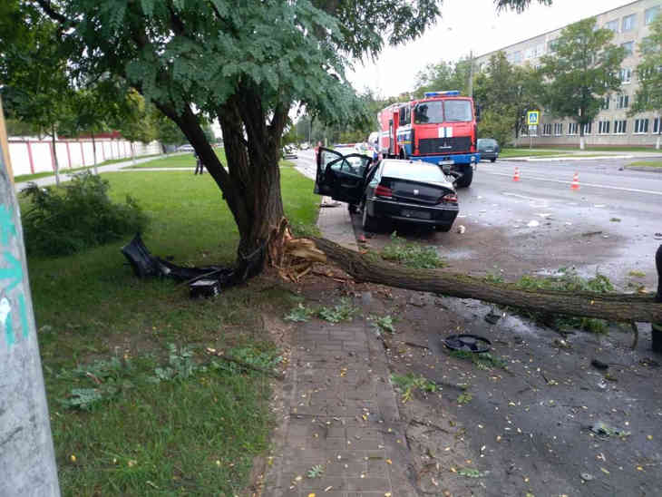 В Бобруйске Peugeot вылетел на встречку, снес дерево и «прибился» к остановке