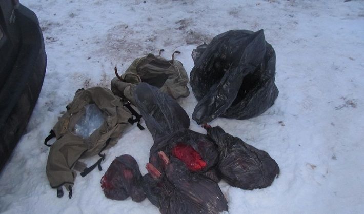 Житель Минска обвиняется в незаконной охоте на косуль европейских‍