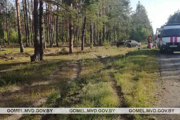 В Петриковском районе Audi влетела в дерево: пострадали два человека