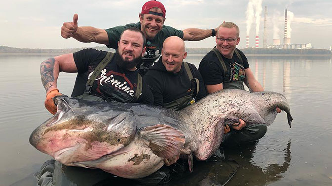 Польский рыбак поймал самого большого в истории сома