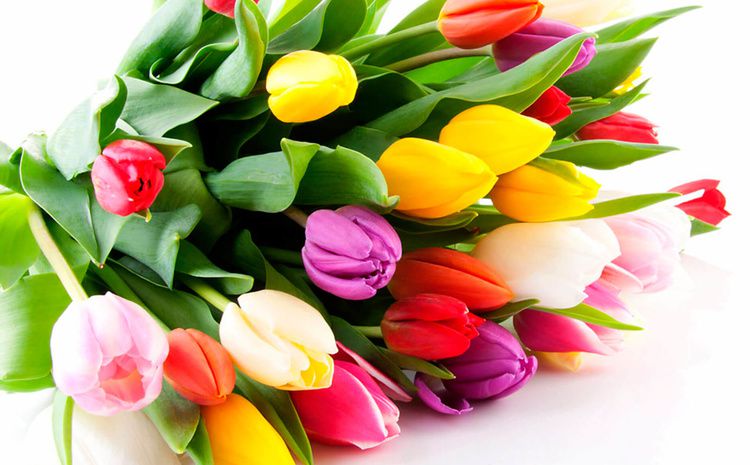 ТОП-5 подарков на 8 Марта: чем порадовать любимых женщин