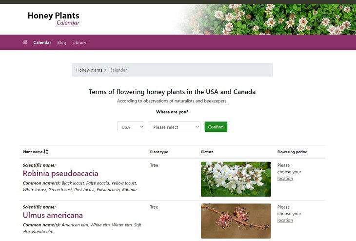 Календарь медоносных растений в США Календарь медоносных растений в США