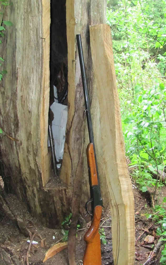В Березинском районе в дупле дуба нашли тайник с ружьями браконьеров‍