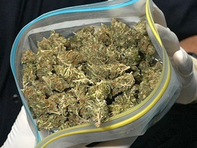 Директор частной фирмы в Бресте получил срок за контрабанду марихуаны