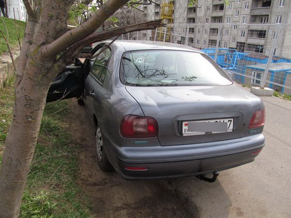 В Минске автоугонщик забыл документы на месте преступления