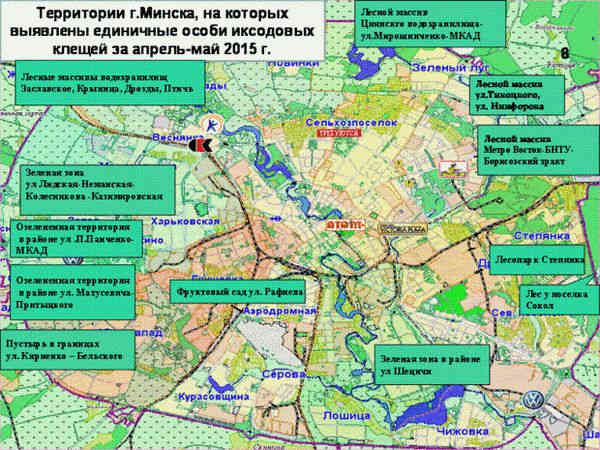 В Минске выявлено 12 очагов обитания клещей