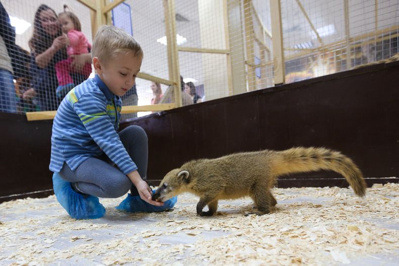 В Минске открыли самый большой контактный зоопарк