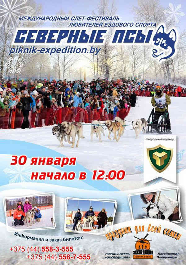 Фестиваль ездового спорта в Логойском районе соберет сильнейших гонщиков Беларуси и соседних стран
