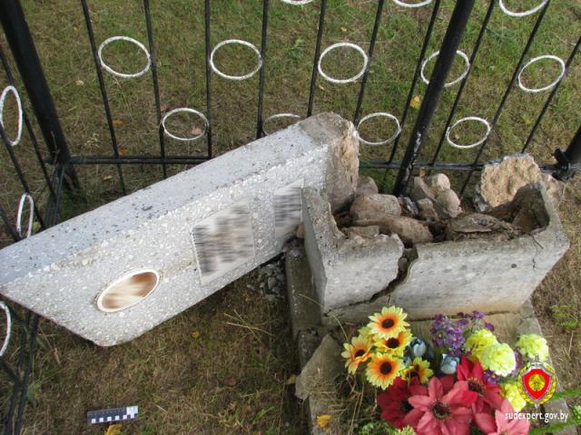Двое минчан разбили памятники на кладбище в Крупском районе
