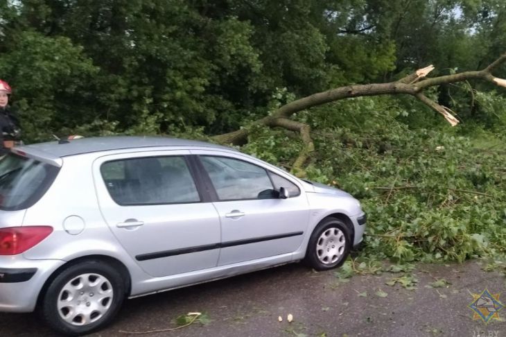 Машина Дерево