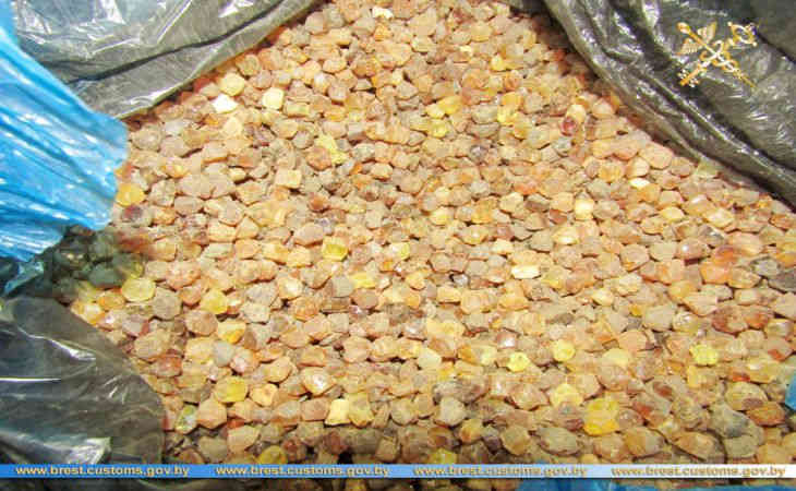 100 кг экстази, $100 тысяч и 58 iPhone «для себя»: ТОП-7 самых впечатляющих случаев контрабанды на Брестской таможне
