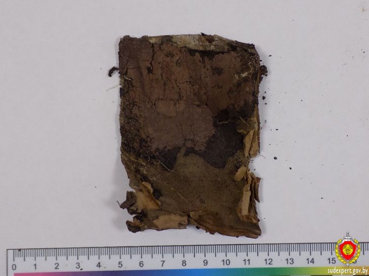 экспертиза