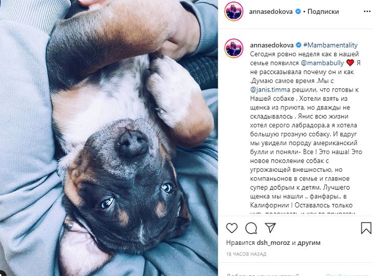 “Нас обманули”: Седокова рассказала, как пострадала от аферистов