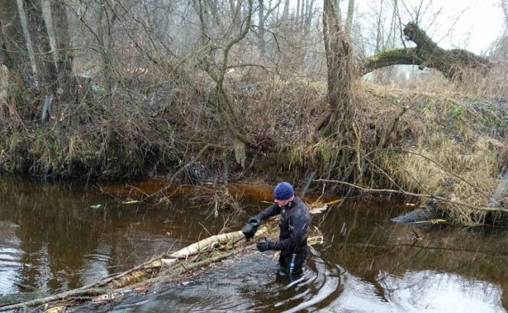 «Убили и выбросили в реку»: троих жителей Марьиной Горки подозревают в убийстве знакомого 