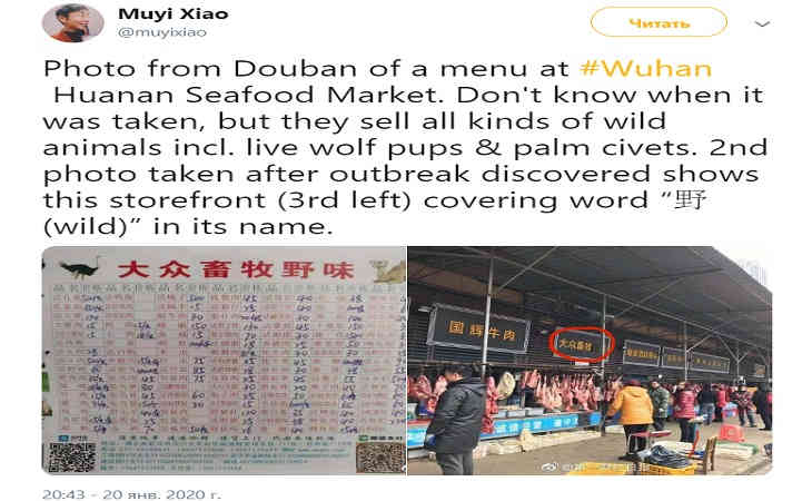 Стало известно, где находится источник зарождения коронавируса. В Сети обсуждают фото из Китая