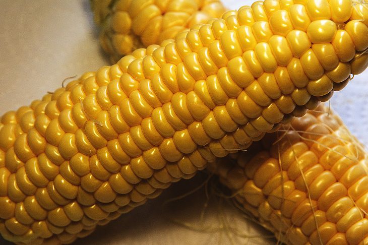 кукуруза
