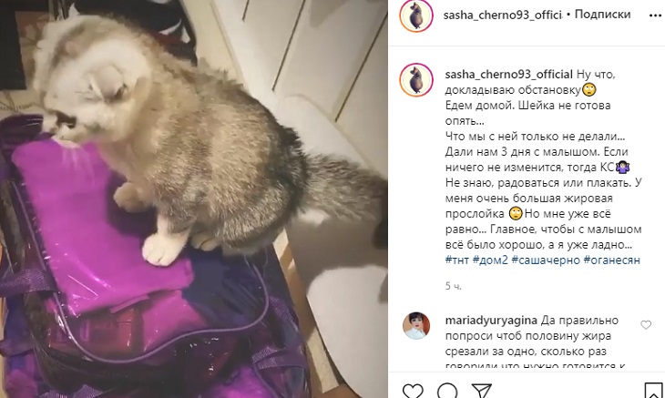 “Очень большая жировая прослойка”: Александру Черно готовят к операции