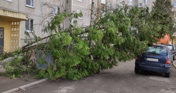 автомобиль