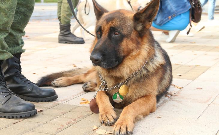 Минск, День города