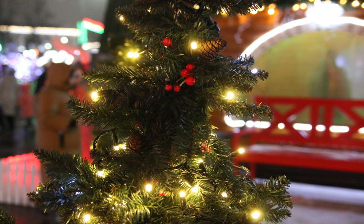 Новый год к нам идет. Посмотрите, как в Гомеле ёлку зажигали