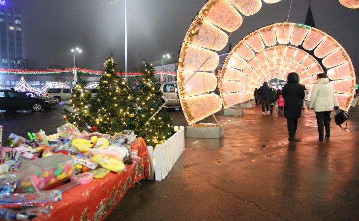 Новый год к нам идет. Посмотрите, как в Гомеле ёлку зажигали