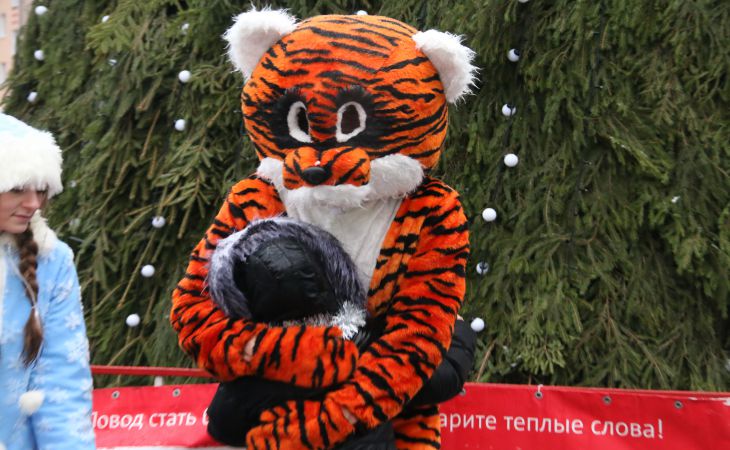 Новогодний концерт