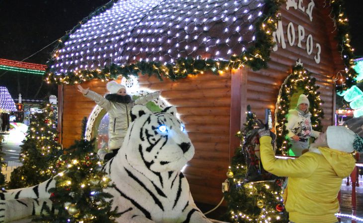 Новогодние украшения