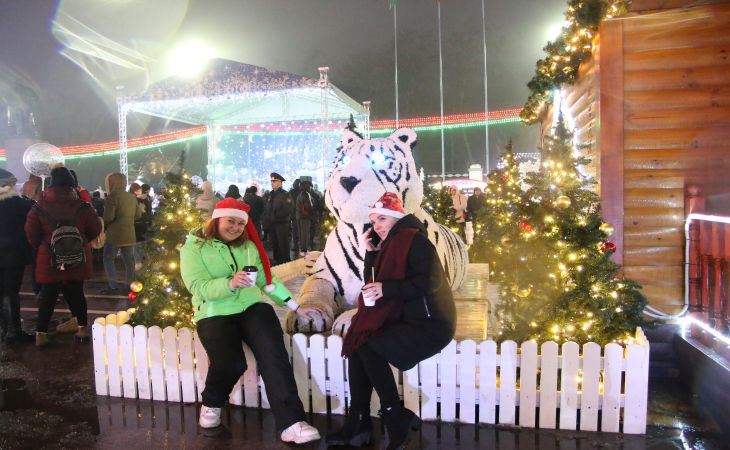 Новый год 2022