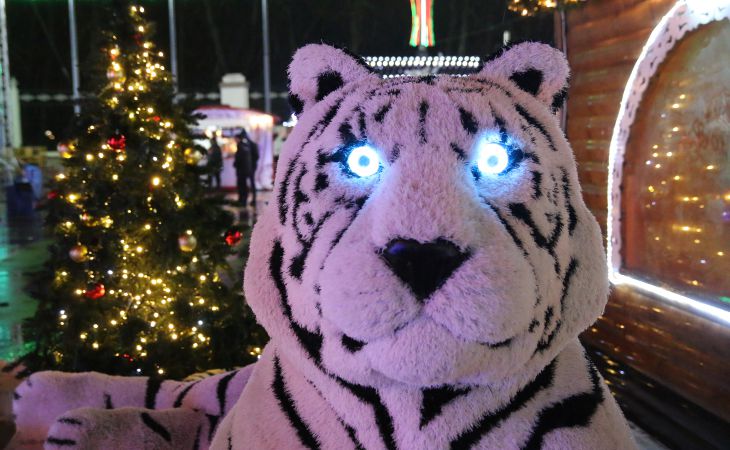 Новый год 2022