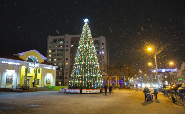 К Новому году готовы. Посмотрите, как выглядят елки Гомеля