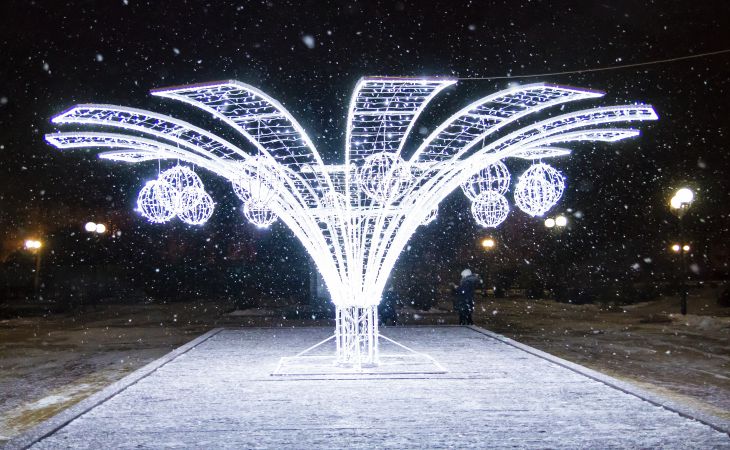 К Новому году готовы. Посмотрите, как выглядят елки Гомеля