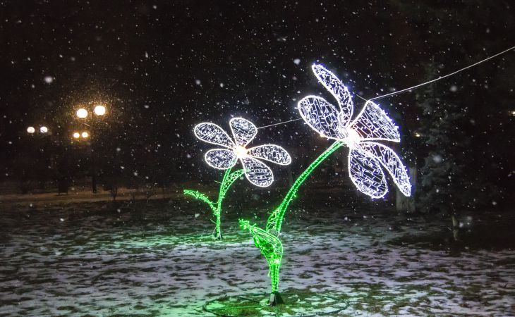 К Новому году готовы. Посмотрите, как выглядят елки Гомеля