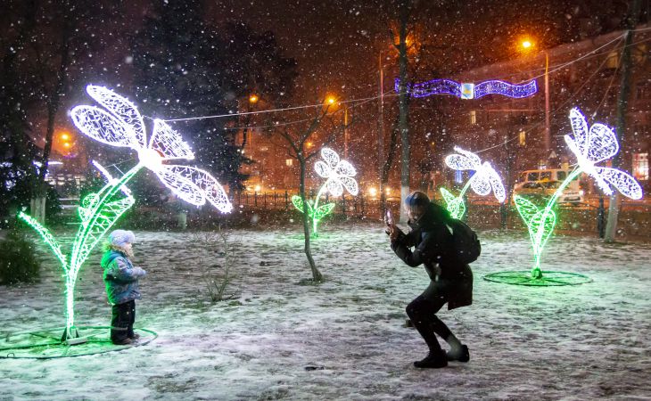 К Новому году готовы. Посмотрите, как выглядят елки Гомеля