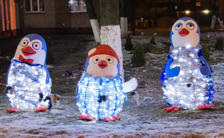 К Новому году готовы. Посмотрите, как выглядят елки Гомеля