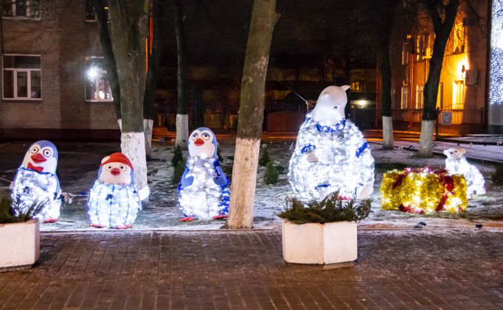 К Новому году готовы. Посмотрите, как выглядят елки Гомеля