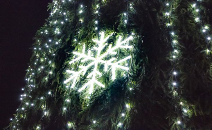 К Новому году готовы. Посмотрите, как выглядят елки Гомеля