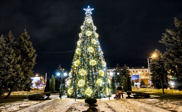 К Новому году готовы. Посмотрите, как выглядят елки Гомеля