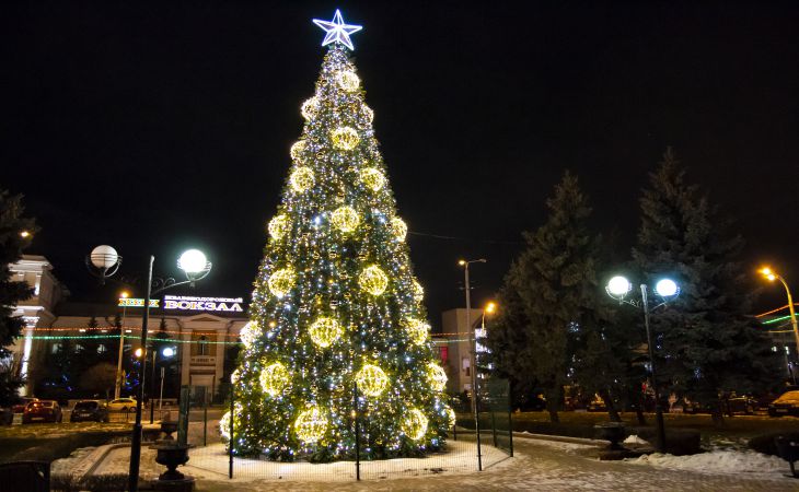 К Новому году готовы. Посмотрите, как выглядят елки Гомеля