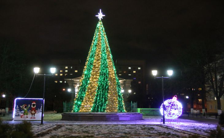 К Новому году готовы. Посмотрите, как выглядят елки Гомеля