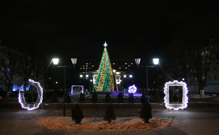 К Новому году готовы. Посмотрите, как выглядят елки Гомеля