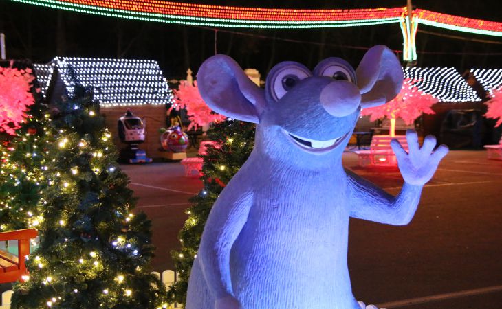 К Новому году готовы. Посмотрите, как выглядят елки Гомеля