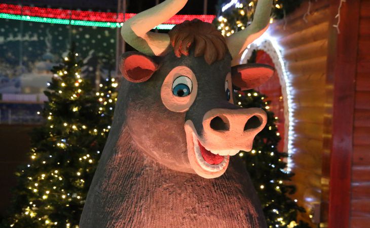 К Новому году готовы. Посмотрите, как выглядят елки Гомеля