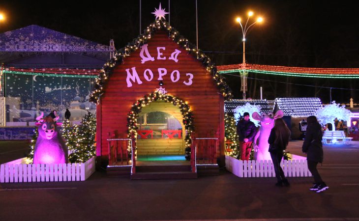 К Новому году готовы. Посмотрите, как выглядят елки Гомеля