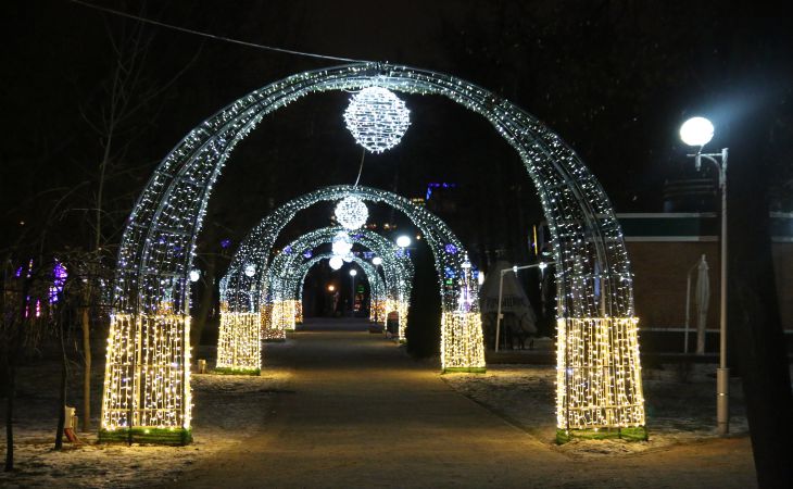 К Новому году готовы. Посмотрите, как выглядят елки Гомеля