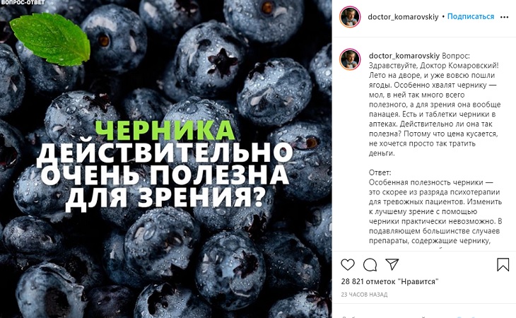 Полезна ли черника для зрения? Доктор Комаровский развеял миф