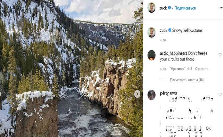 «Подумайте об этом»: МИД Беларуси пригласил Марка Цукерберга посетить Беловежскую пущу