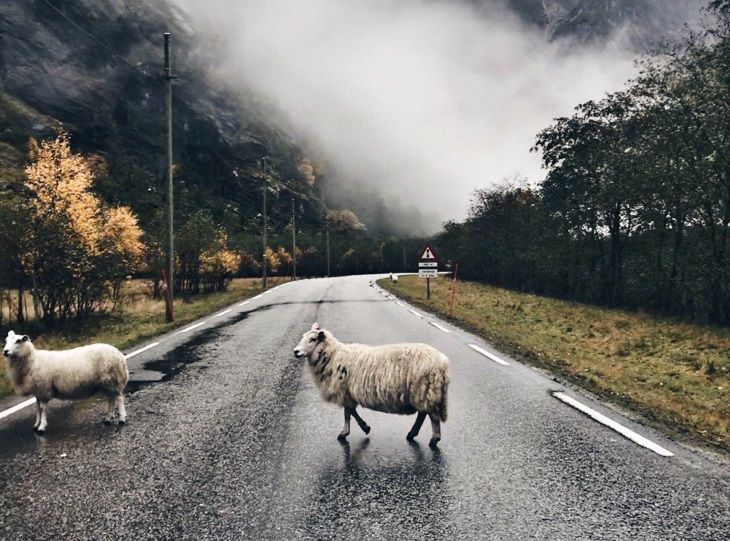 путешествия 