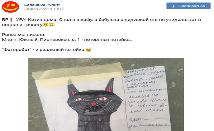 Объявление ребенка о пропаже кота стало вирусным